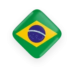 brazil-flag-licence